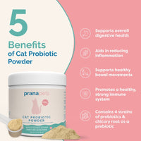Thumbnail for benefits of cat probiotic powder benefits of probiotics for cats