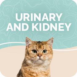 Urinary Health & Kidney Supplements for Cats