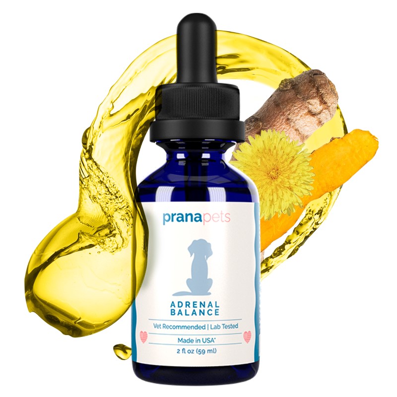 Adrenal Support Supplement for Dogs Prana Pets