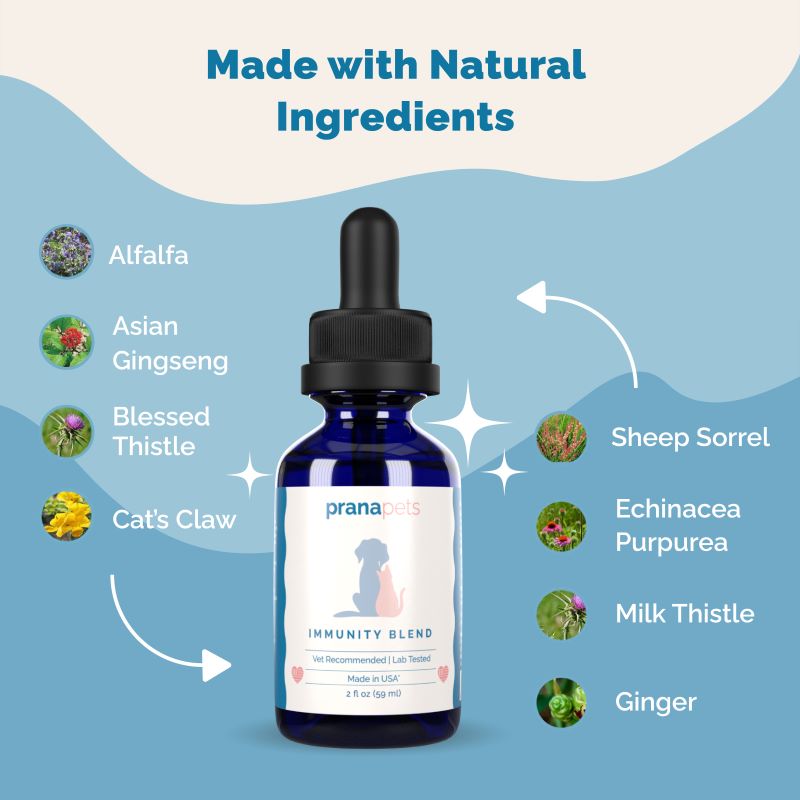 View of Immune Support Supplement for Dogs | Prana Pets