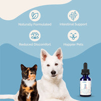 Thumbnail for Intestinal Defense Herbal Dewormer for Dogs