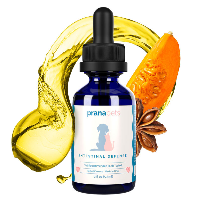 Intestinal Defense Natural Parasite Cleanse for Dogs Prana Pets