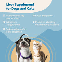 Thumbnail for Liver Function Support For Cats