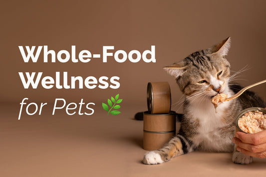 Natural Ingredients for Pets: Essential Q&A Guide