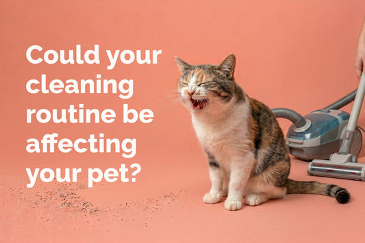 Spring Cleaning Mistakes That Can Irritate Your Pet’s Airways