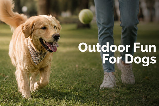 10 Fun Things To Do With Dogs Outside This Spring