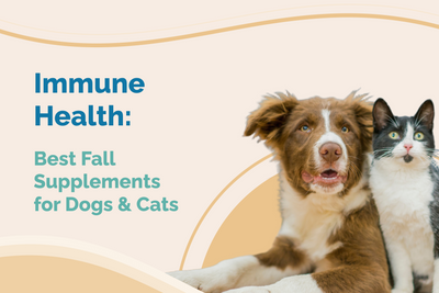 Ultimate Guide to Best Fall Supplements for Dogs and Cats