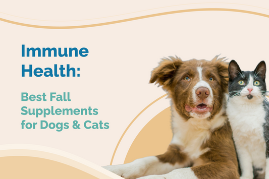 Ultimate Guide to Best Fall Supplements for Dogs and Cats