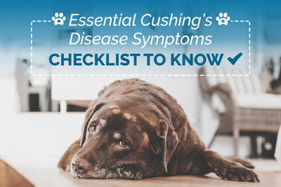 Essential Cushing’s Disease Symptoms Checklist to Know