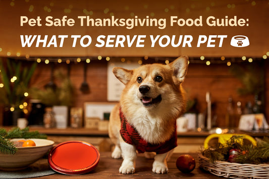 Pet Safe Thanksgiving Food Guide: What to Serve Your Pet
