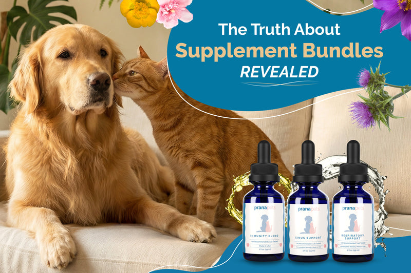 The Truth About Pet Supplement Bundles and Their Benefits