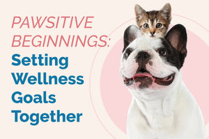 Setting Pet Wellness Goals: A Path to Healthier Pets