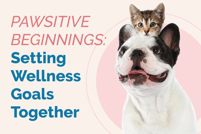 Setting Pet Wellness Goals: A Path to Healthier Pets