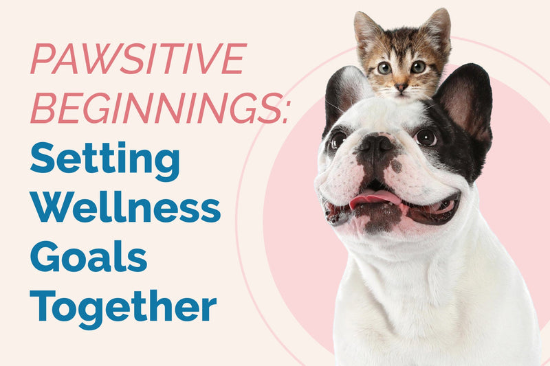 Setting Pet Wellness Goals: A Path to Healthier Pets