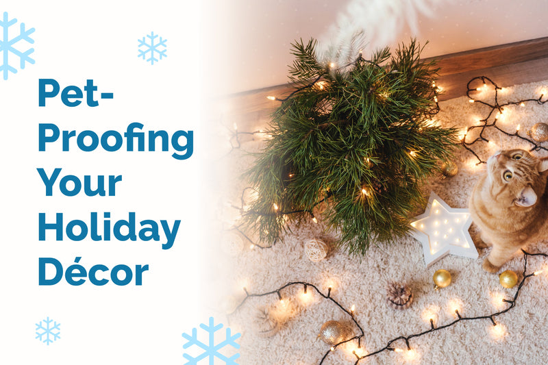 Pet-Proof Holiday Décor: Keep Pets Safe This Holiday Season