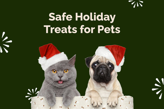 Safe & Healthy Holiday Treats for Pets | Avoid Toxic Foods