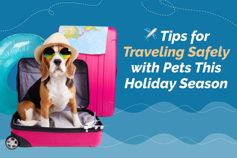 Tips for Traveling Safely with Pets This Holiday Season