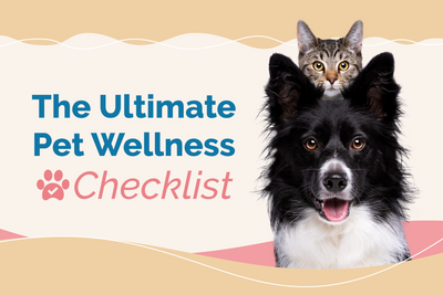 Ultimate Pet Wellness Checklist for Lifelong Health