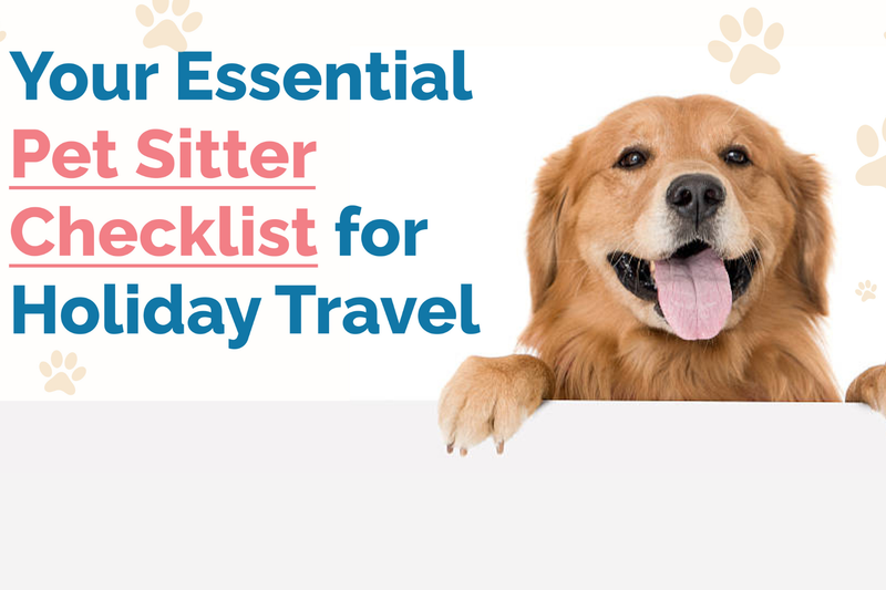 Essential Pet Sitter Checklist for Holiday Travel