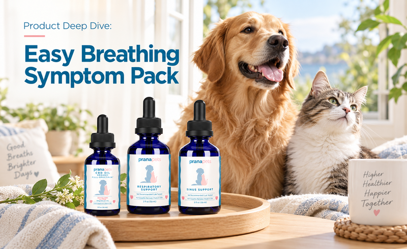 What to Do If Your Dog or Cat Is Sneezing a Lot This Season