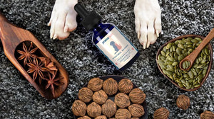 Ingredient Deep Dive: Intestinal Defense