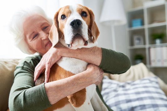 Why Is My Dog Shaking or Trembling?