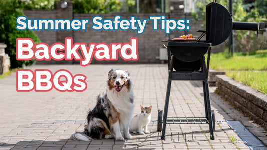 Must-Know BBQ Pet Safety Tips for Pet Owners