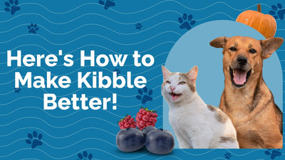 Can’t Do Raw? How To Make Kibble Better!