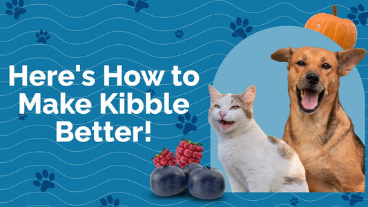 Can’t Do Raw? How To Make Kibble Better!