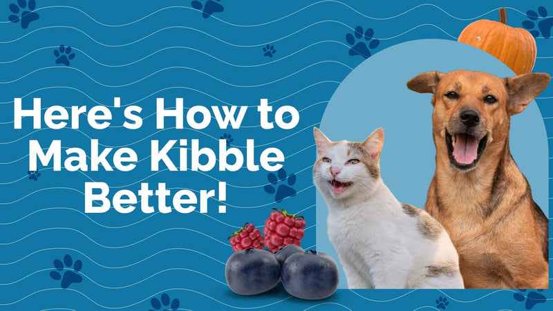 Can’t Do Raw? How To Make Kibble Better!
