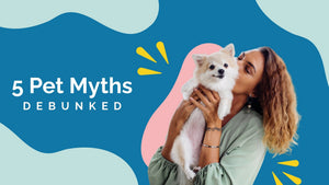 5 Pet Myths Debunked
