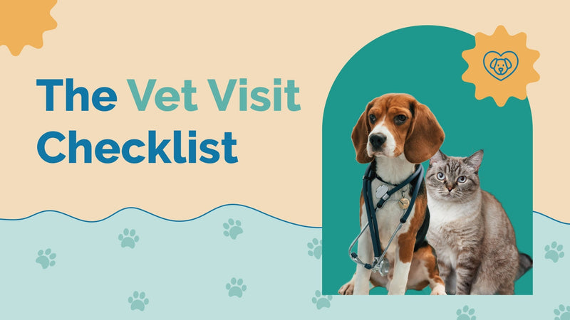 Ask Pets What Questions to Ask the Vet for Better Pet Care – Prana Pets