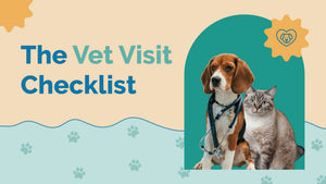What Questions to Ask the Vet for Better Pet Care