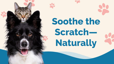 Unlock the Benefits of Pet Natural Remedies Today