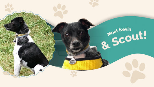 Get to Know Your Customers: Kevin & Scout!