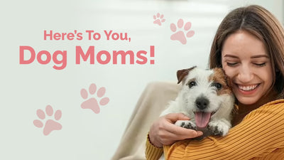 Dog Mom’s Day: Celebrating Pet Parenthood