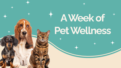 A Week of Pet Wellness