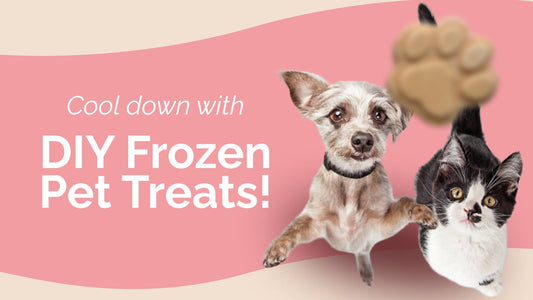 Refreshing DIY Pet Treats to Beat the Summer Heat