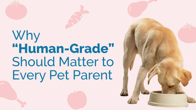 What Does Human Grade Mean in Pet Products?