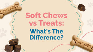 Chews vs. Treats: What's the Difference?
