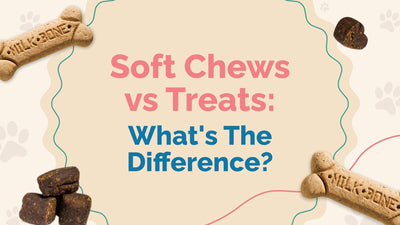 Chews vs. Treats: What's the Difference?