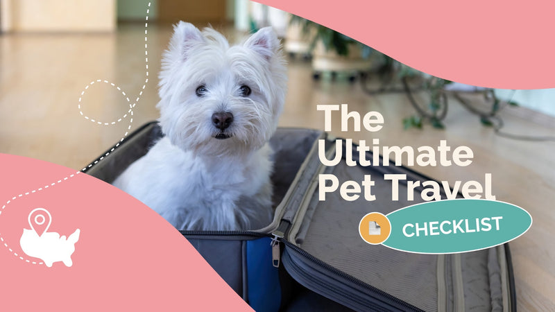 Pet Travel Tips: Must-Have Checklist for Pet Owners