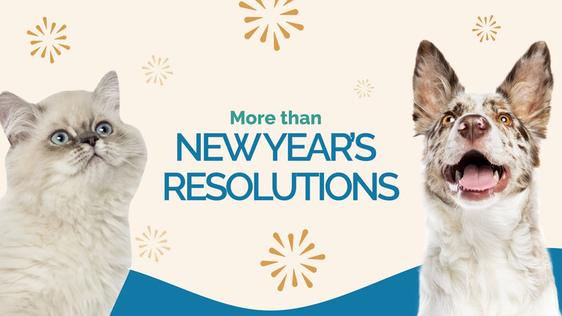 2025: A Year of Pet Wellness