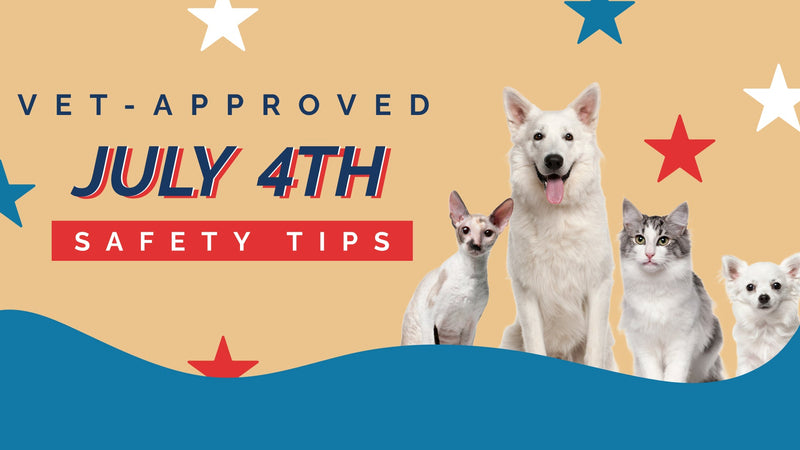Vet Recommended 4th of July Pet Safety Tips