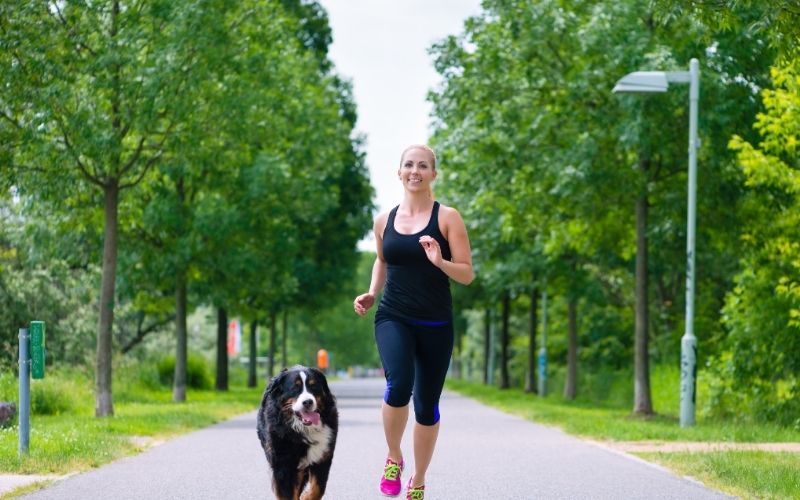 Bootcamp for Dogs & Owners: A Blend of Fitness and Obedience Training