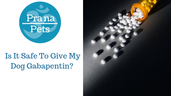 Is It Safe To Give My Dog Gabapentin?