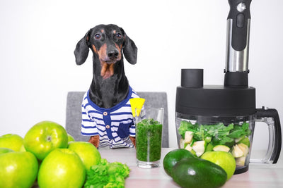 Feline & Canine Detox Methods: Happy & Healthy Pets