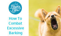 How To Treat Excessive Barking in Dogs