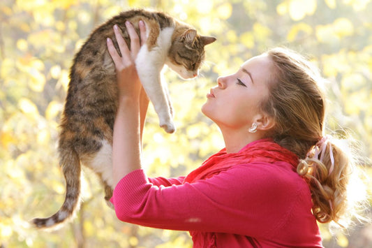 Celebrating Love Your Pet Day: Ways to Pamper Your Pet