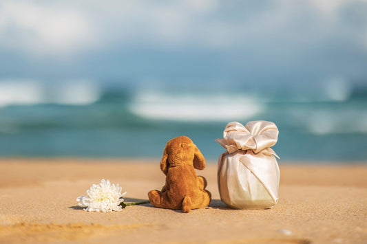 Remembering Our Beloved Companions: Pet Memorial Ideas